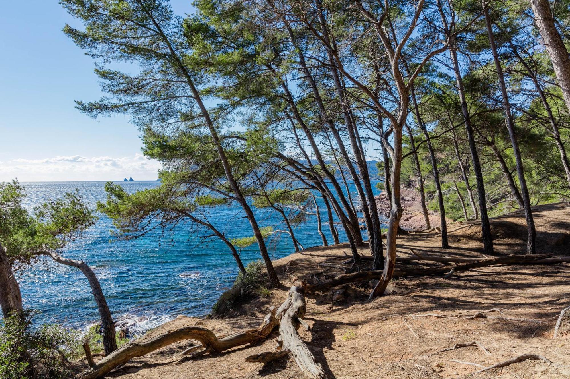 Superbe Studio Avec Terrasse Proximite Plage Saint-Mandrier-sur-Mer Bagian luar foto